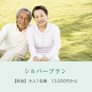 シルバープラン
